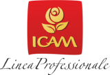 Logotyp Icam